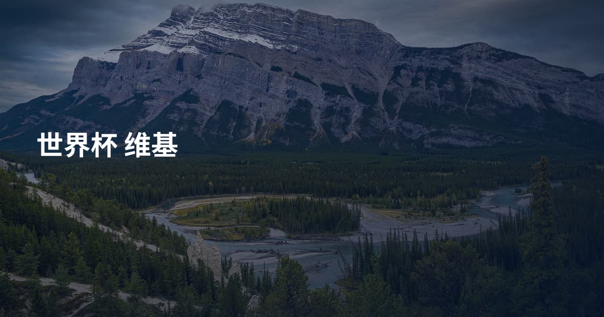 世界杯 维基