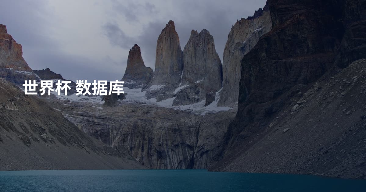 世界杯 数据库