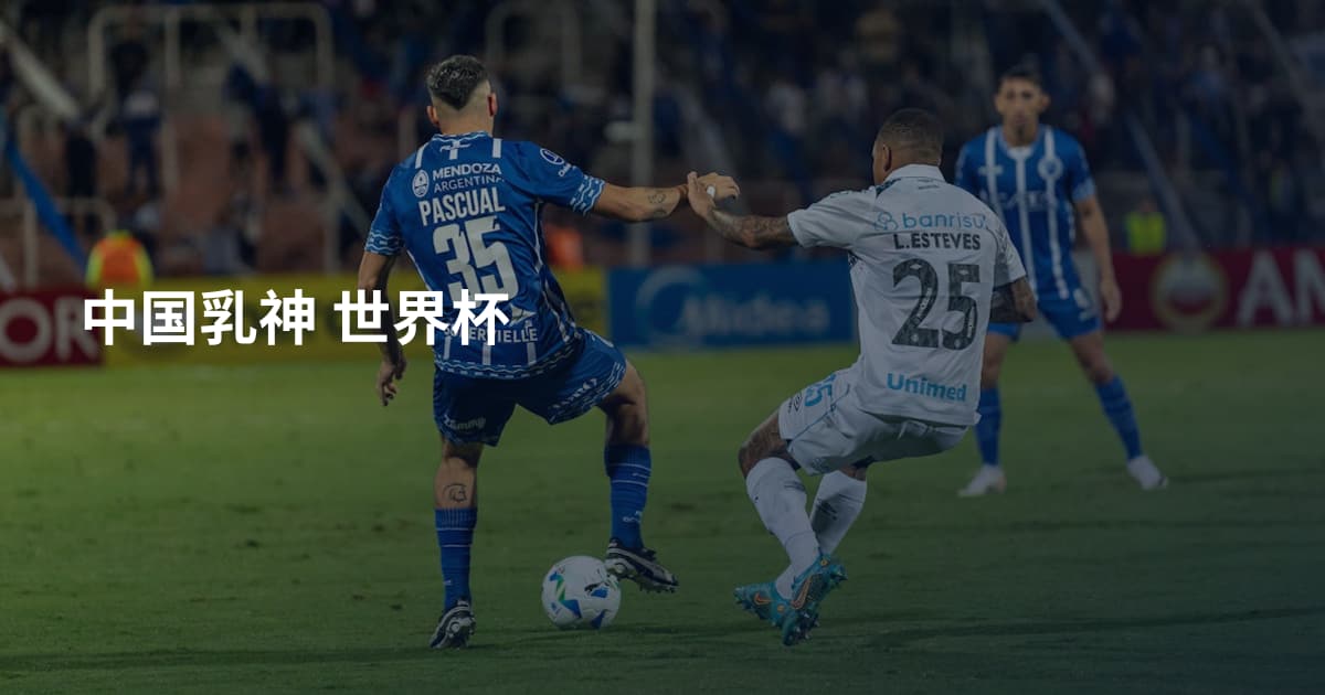 中国乳神 世界杯