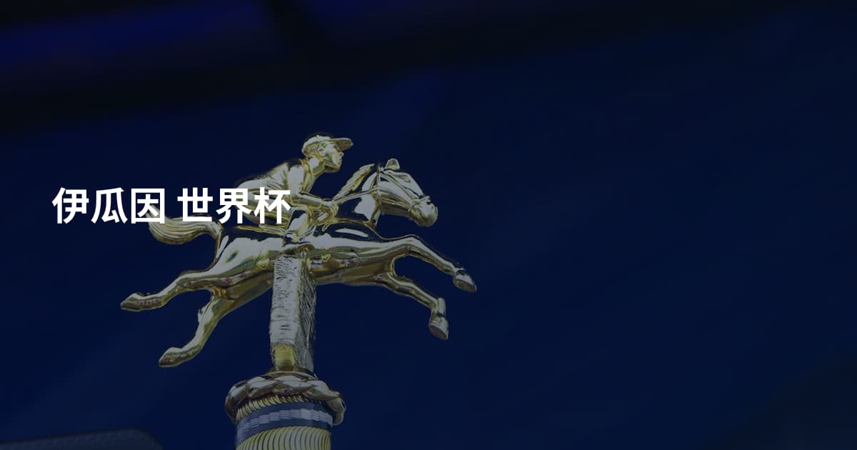 伊瓜因 世界杯