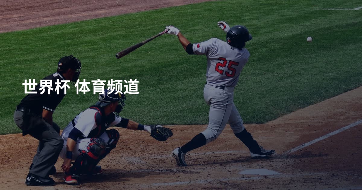 世界杯 体育频道