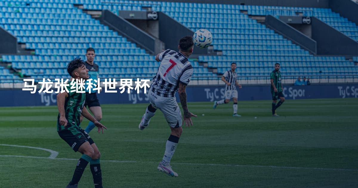 马龙张继科世界杯