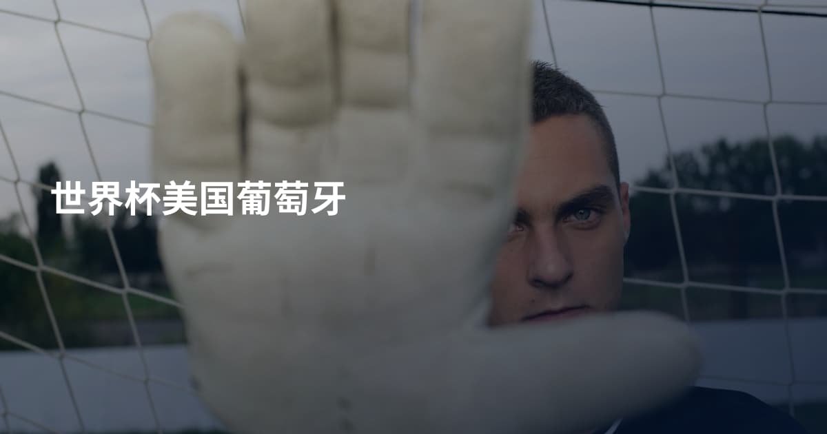 世界杯美国葡萄牙