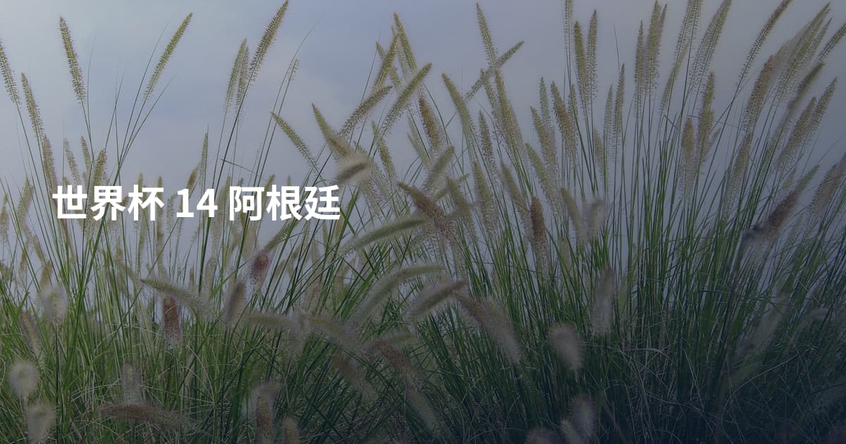 世界杯 14 阿根廷
