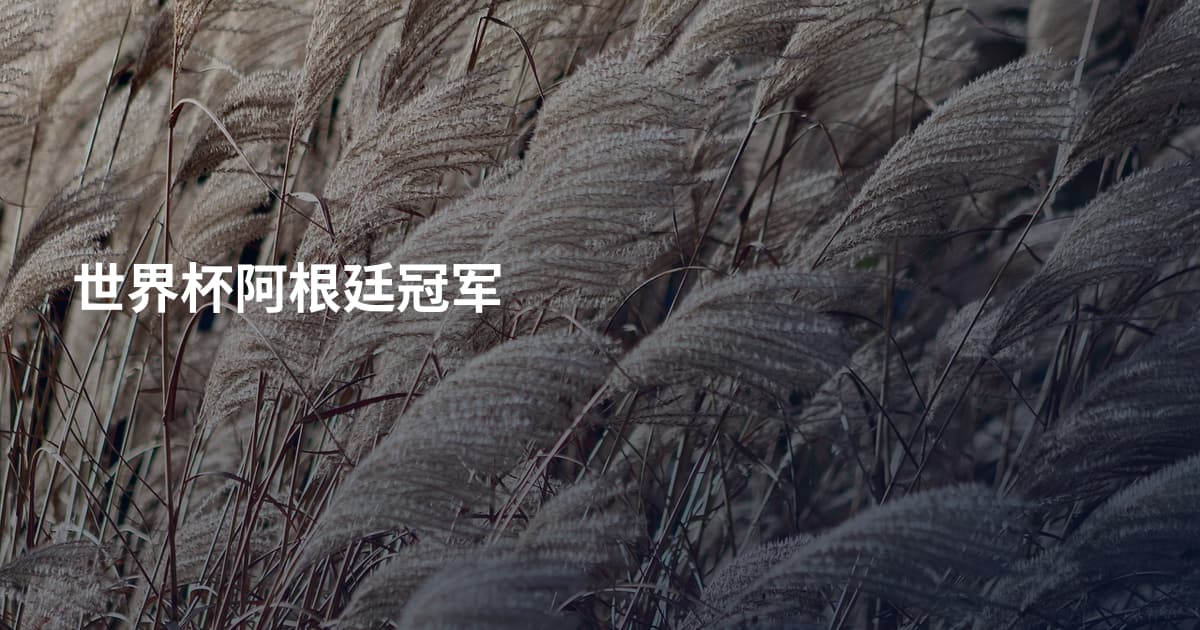 世界杯阿根廷冠军