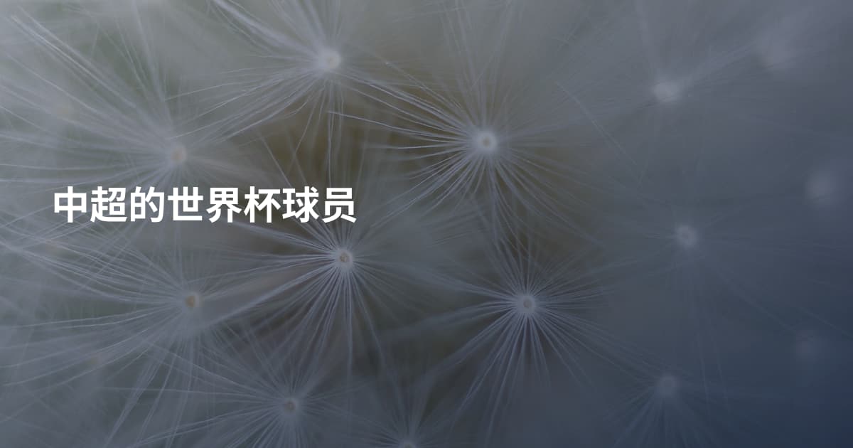 中超的世界杯球员