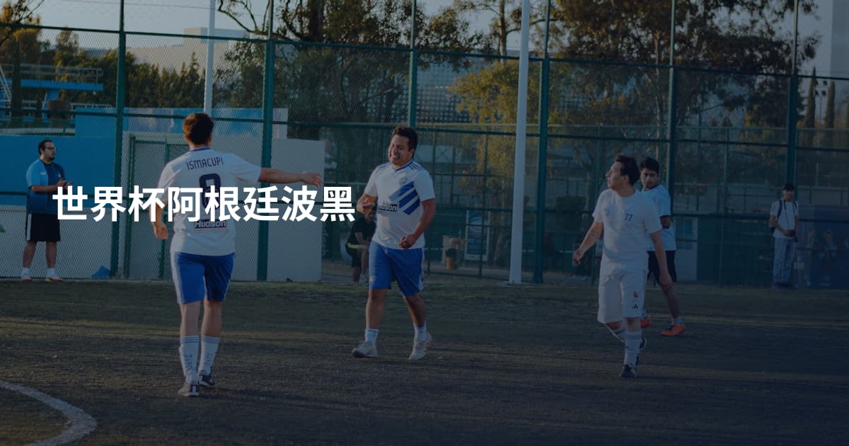 世界杯阿根廷波黑