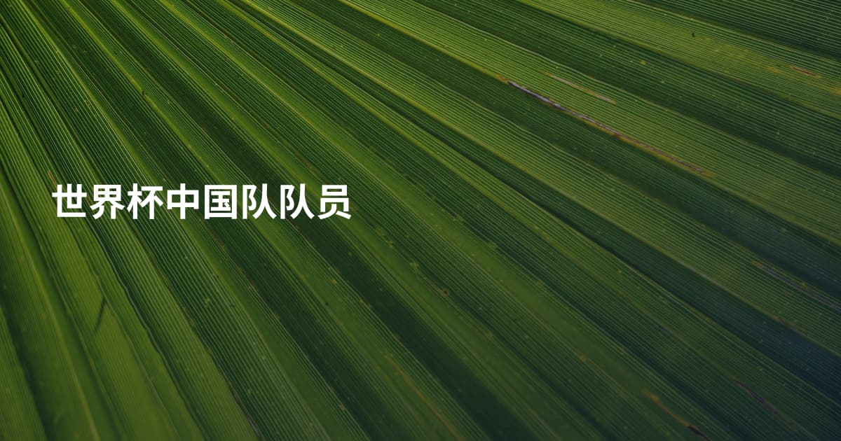 世界杯中国队队员