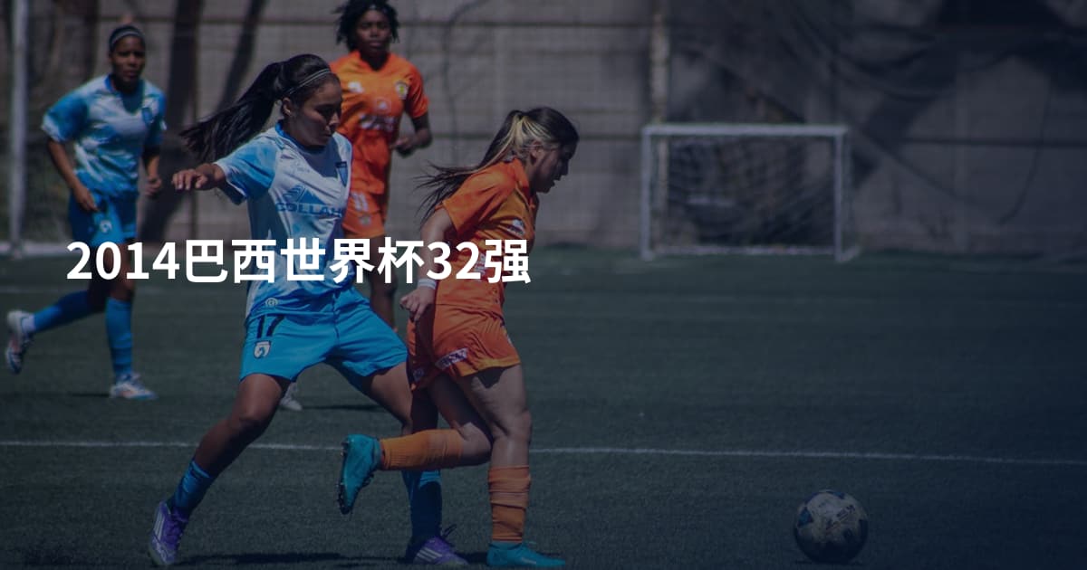 2014巴西世界杯32强