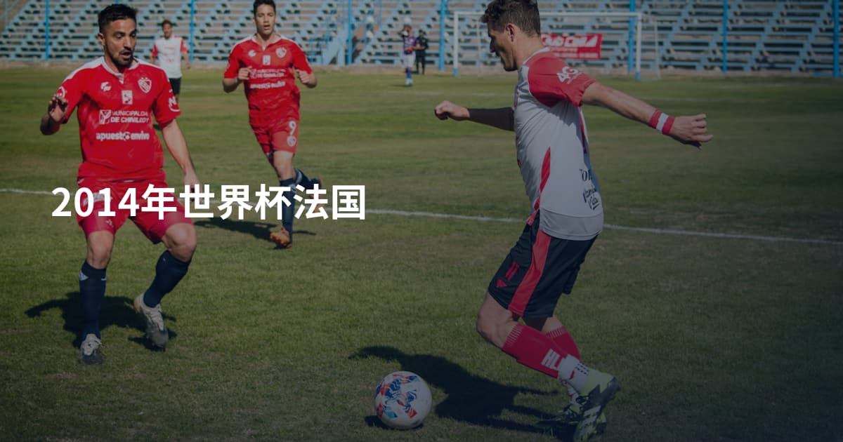 2014年世界杯法国
