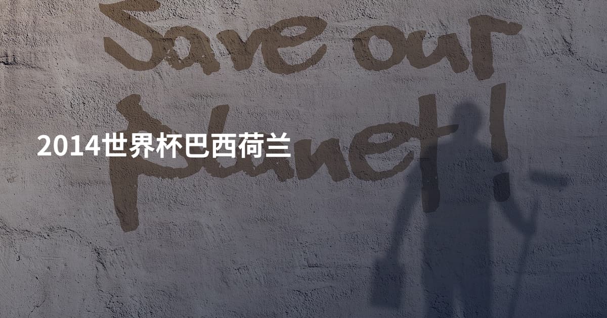 2014世界杯巴西荷兰