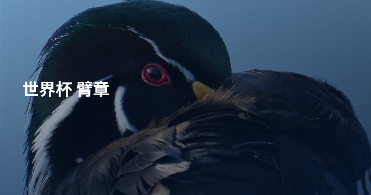 世界杯 臂章