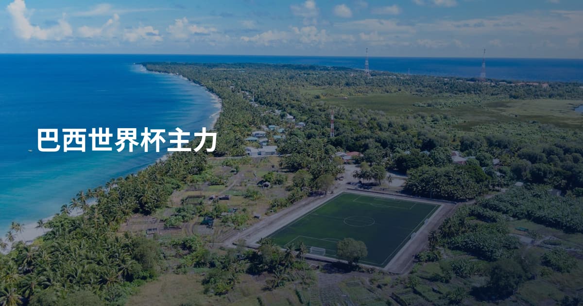 巴西世界杯主力