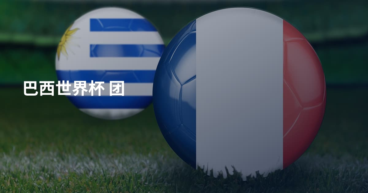 巴西世界杯 团