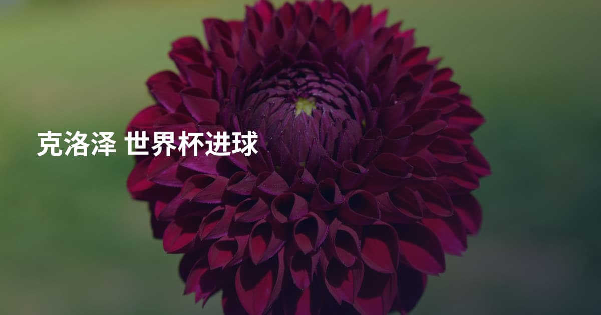 克洛泽 世界杯进球