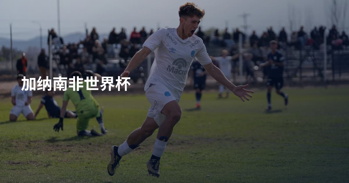加纳南非世界杯