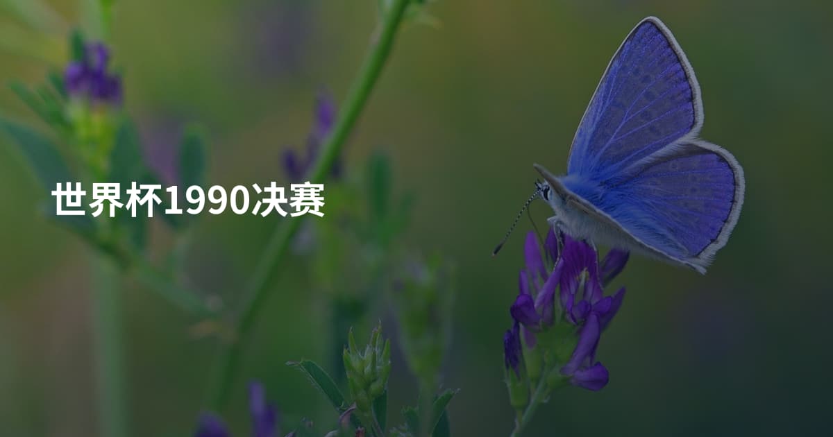 世界杯1990决赛