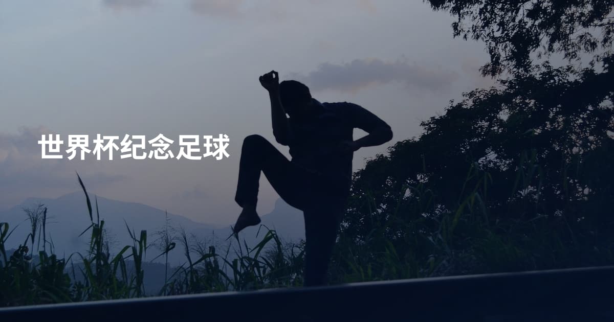 世界杯纪念足球