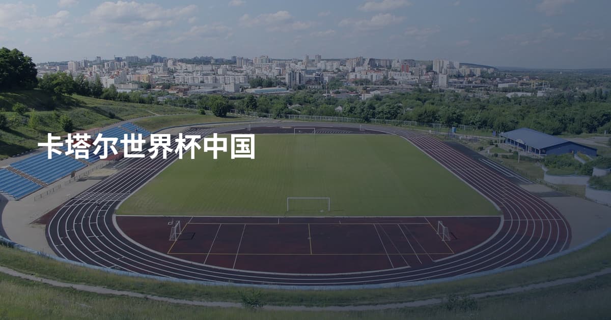 卡塔尔世界杯中国