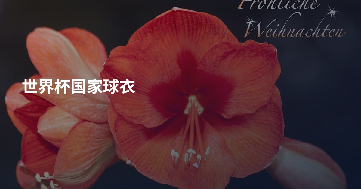 世界杯国家球衣