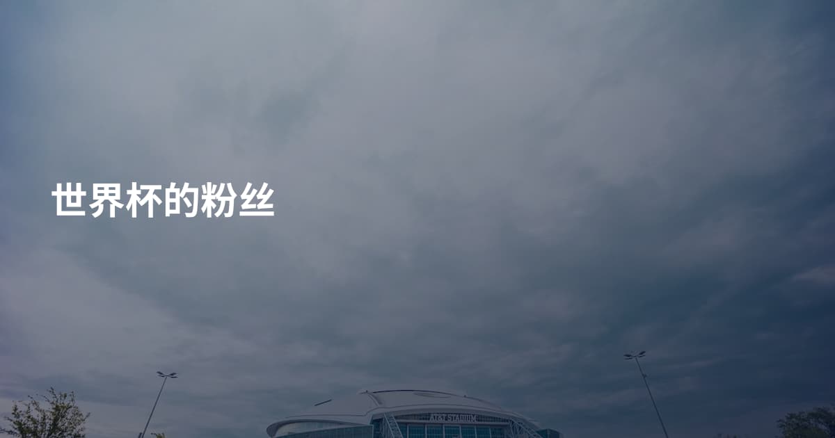 世界杯的粉丝