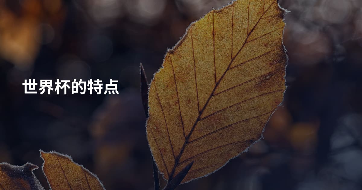 世界杯的特点