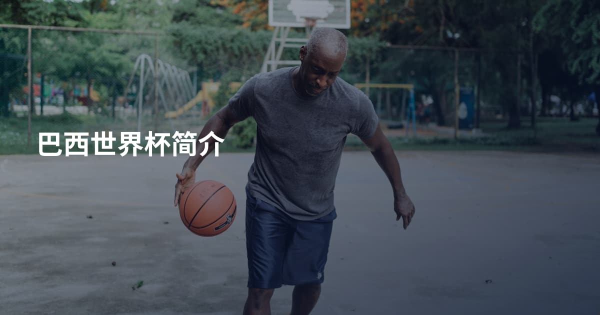巴西世界杯简介