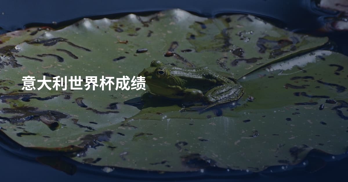 意大利世界杯成绩