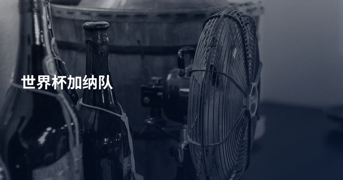 世界杯加纳队