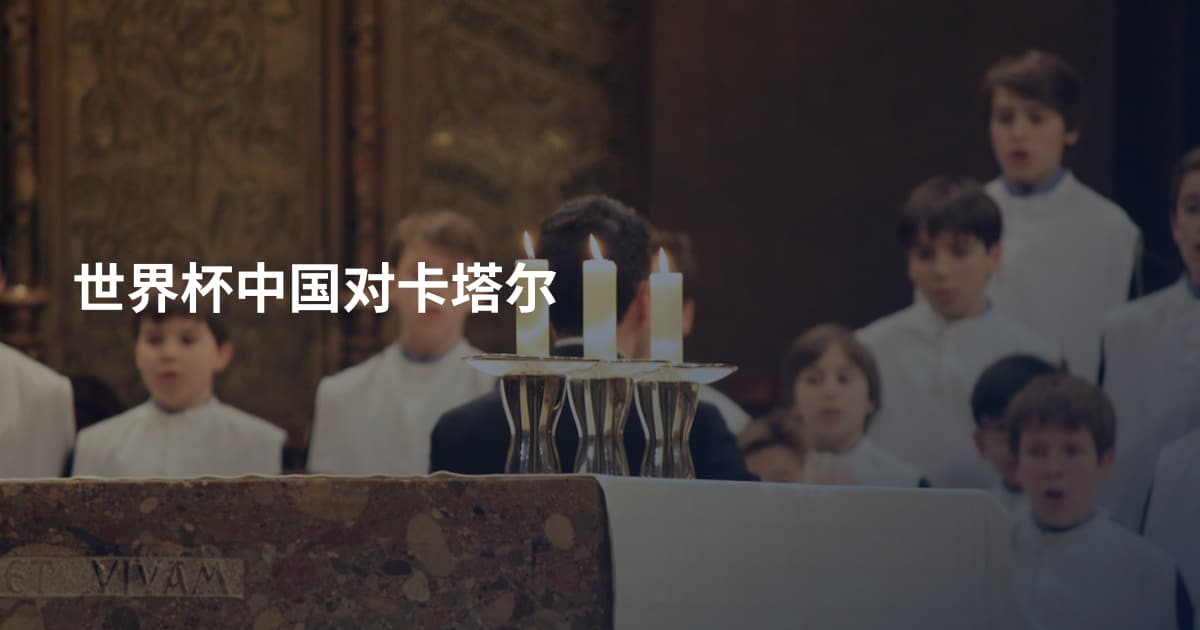 世界杯中国对卡塔尔
