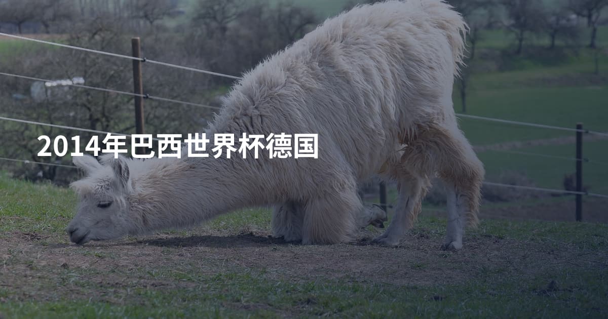 2014年巴西世界杯德国