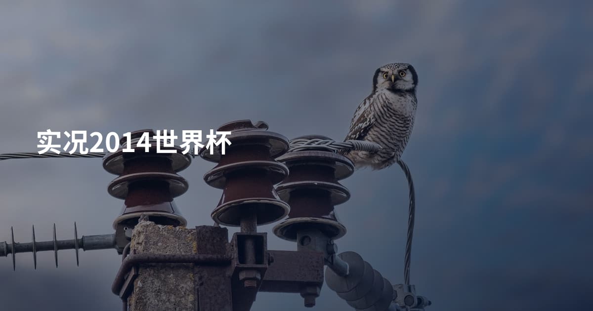 实况2014世界杯