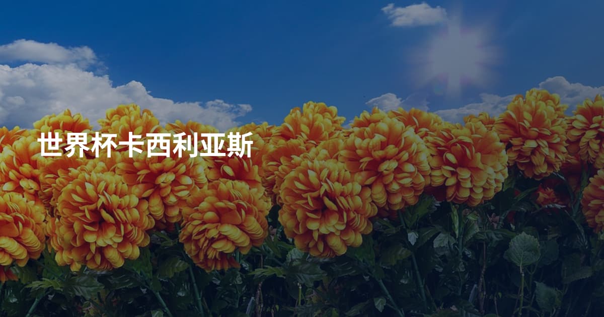 世界杯卡西利亚斯