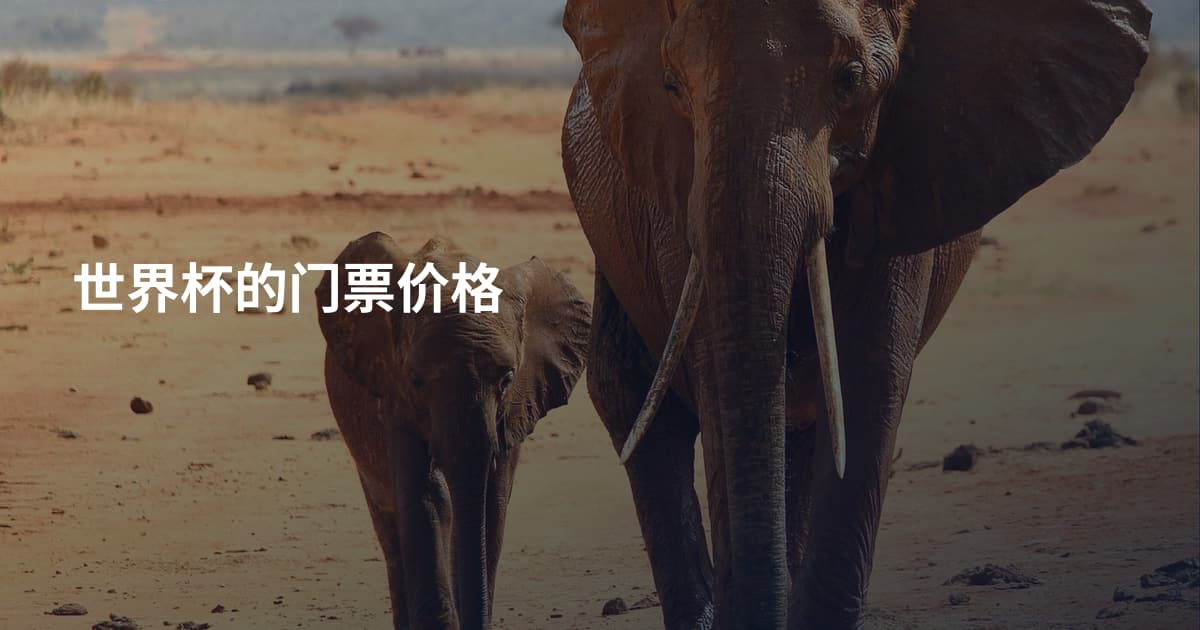 世界杯的门票价格