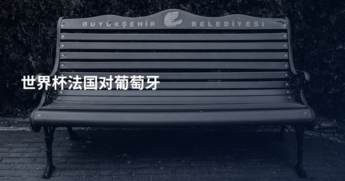 世界杯法国对葡萄牙