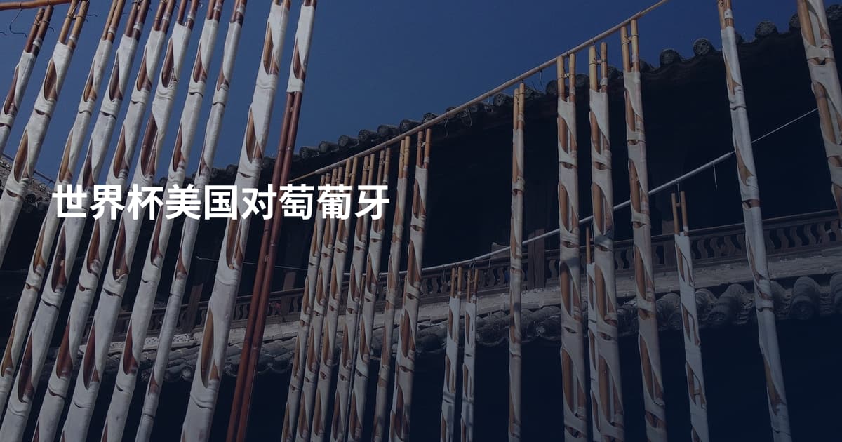 世界杯美国对萄葡牙