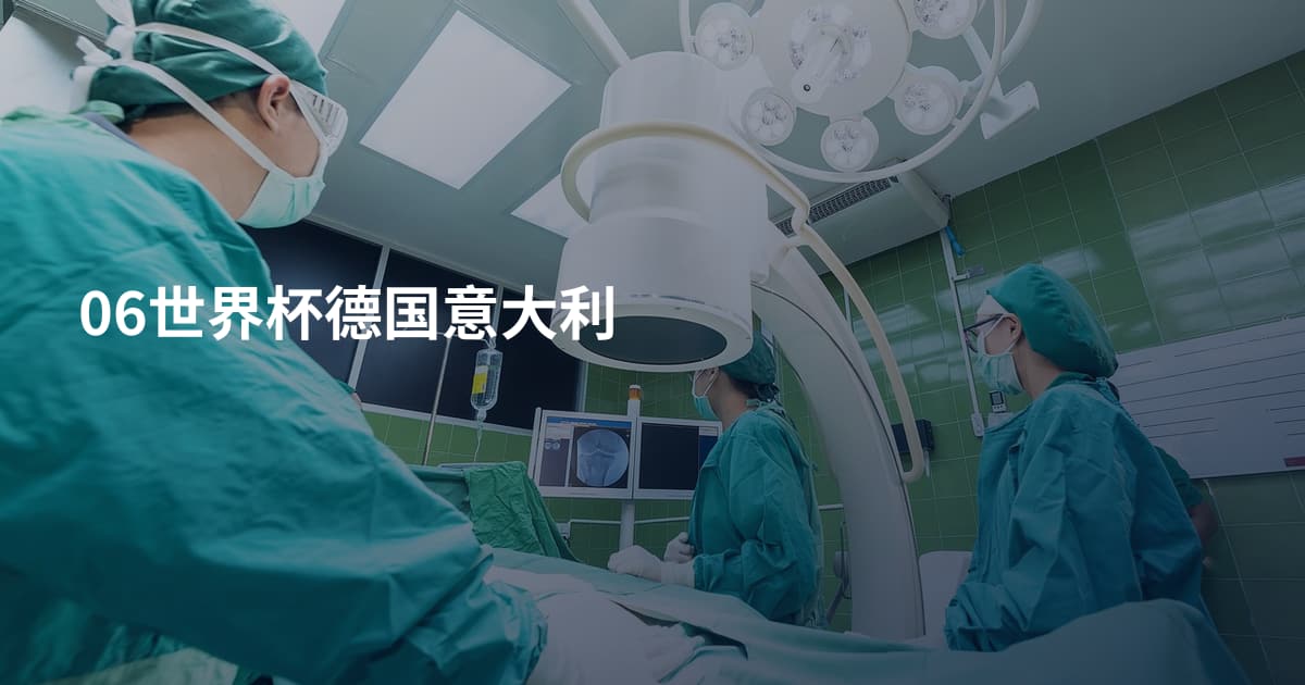 06世界杯德国意大利