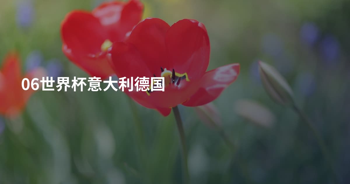 06世界杯意大利德国