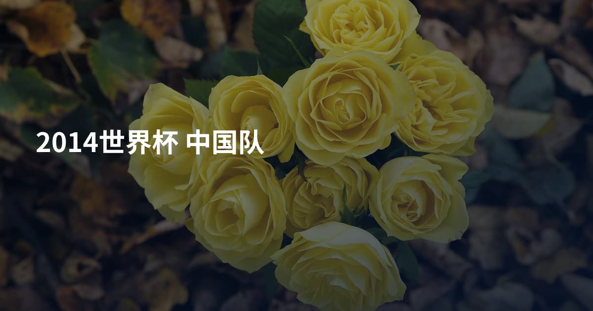 2014世界杯 中国队