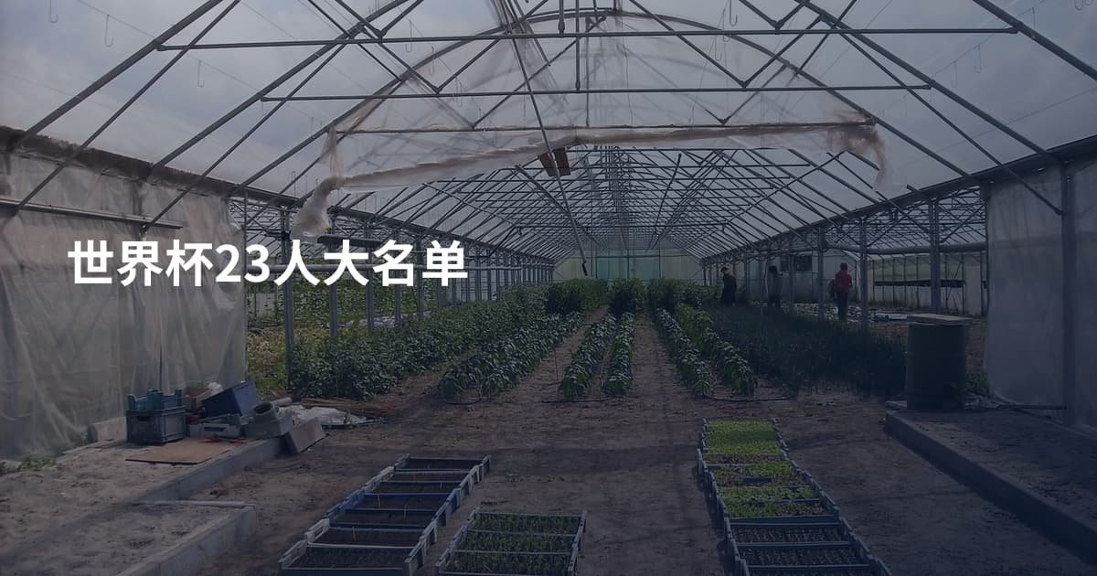 世界杯23人大名单