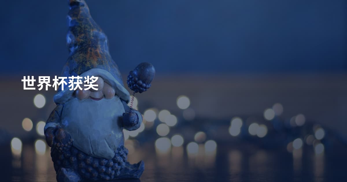 世界杯获奖