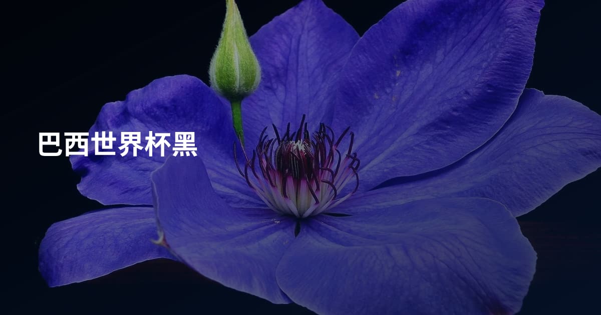 巴西世界杯黑