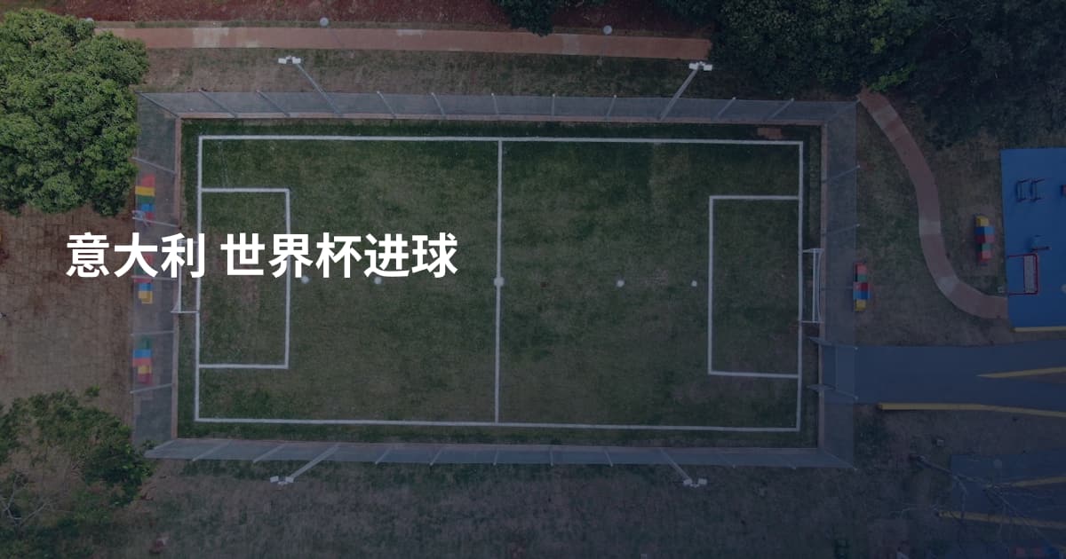 意大利 世界杯进球