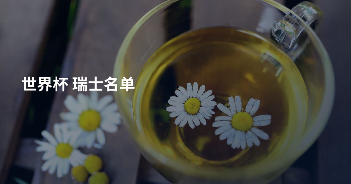 世界杯 瑞士名单