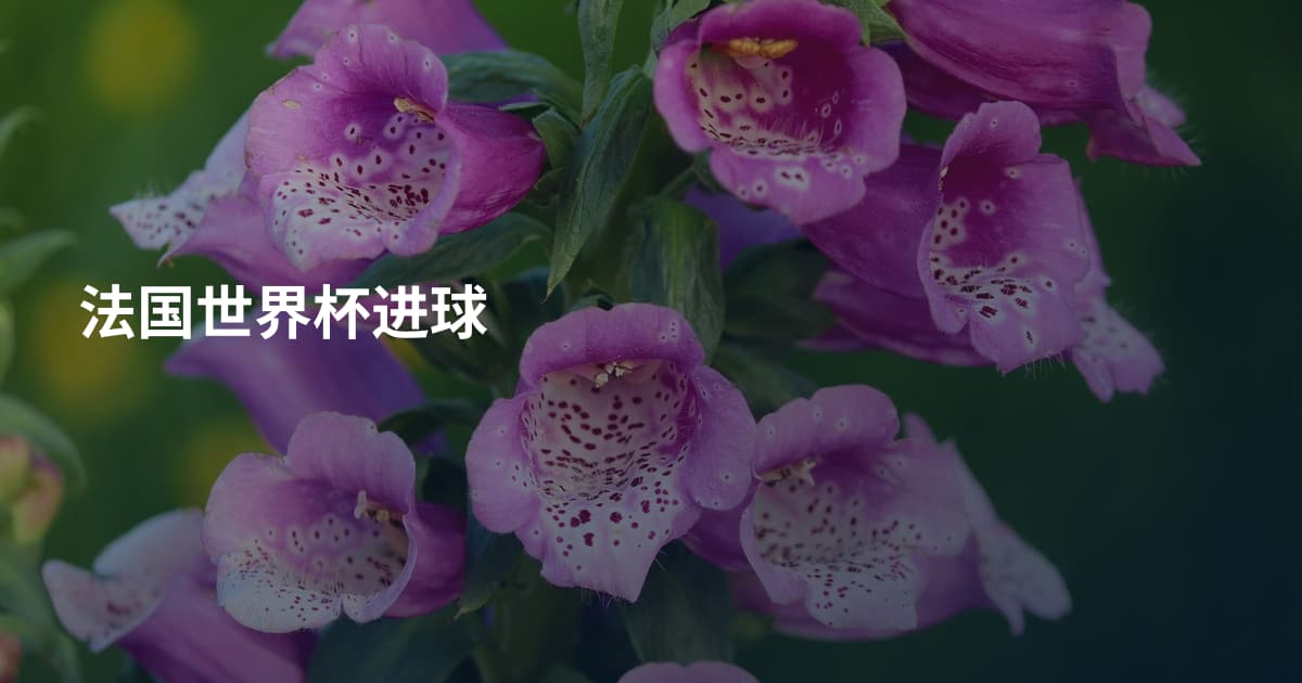法国世界杯进球