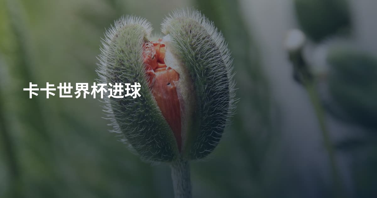 卡卡世界杯进球