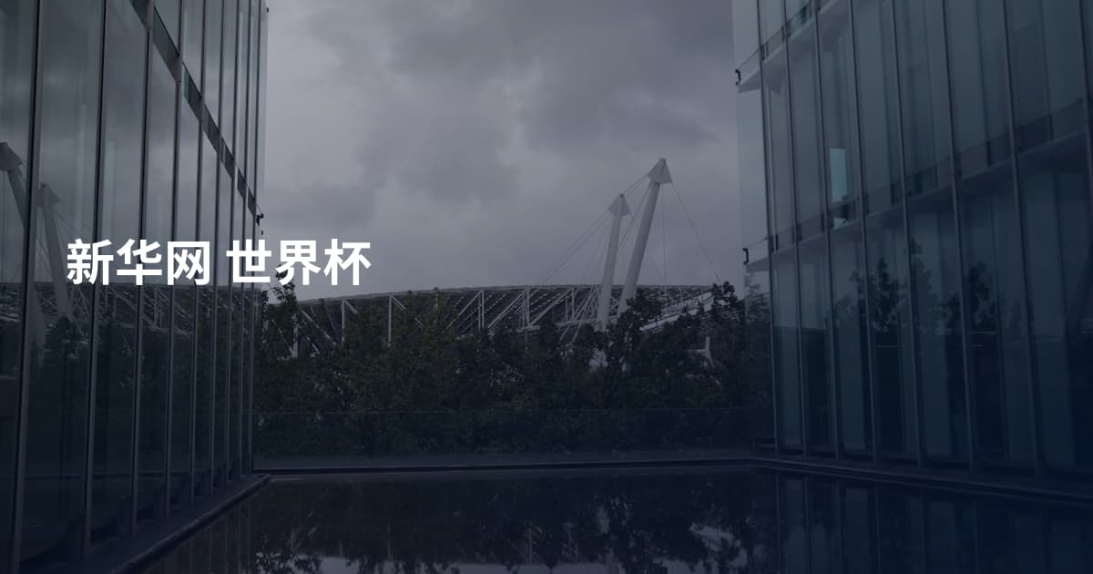 新华网 世界杯