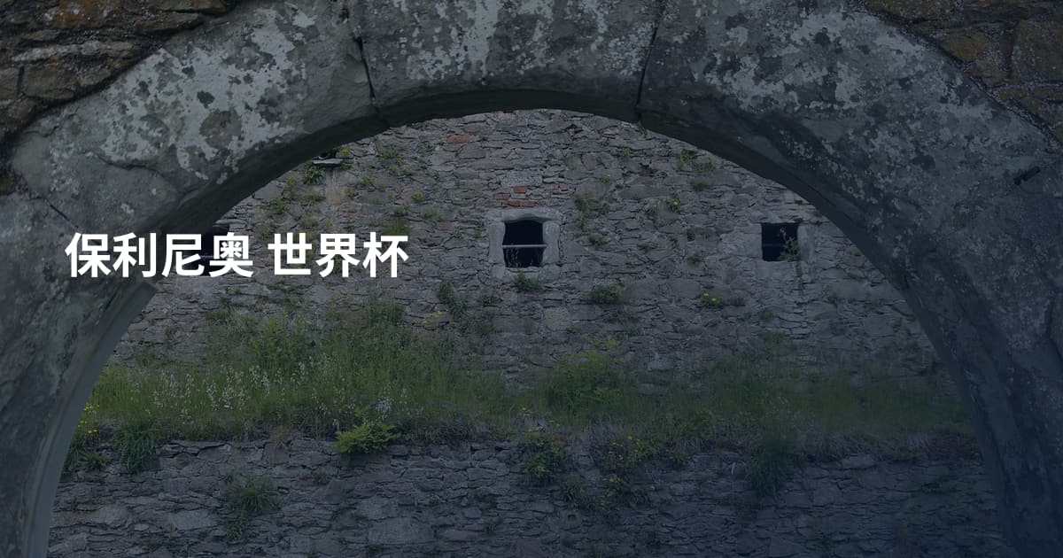 保利尼奥 世界杯