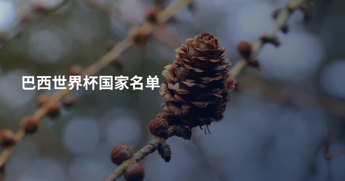 巴西世界杯国家名单