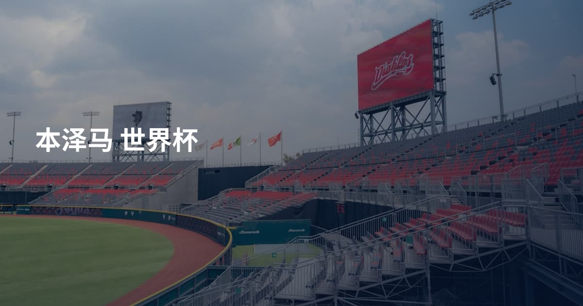 本泽马 世界杯